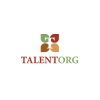 Talent Org Home Website Design WOW Creative Design Studio Pretoria